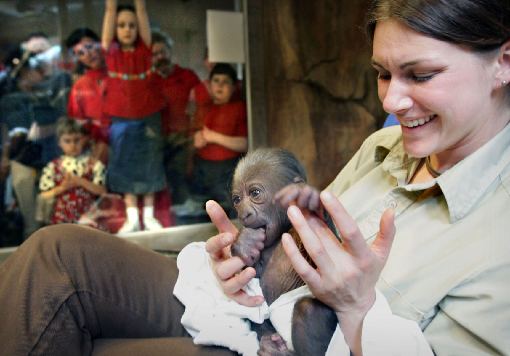 zoo babies